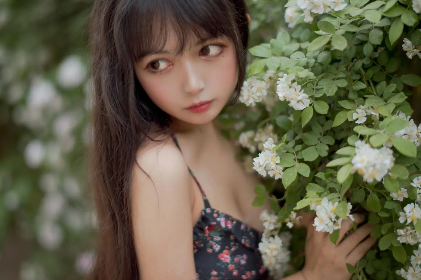 黑猫猫OvO – NO.22 蔷薇1 [22P]插图1